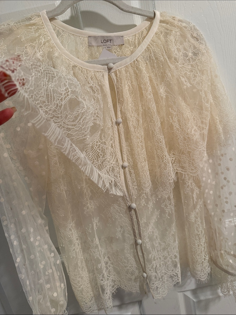 LOFT Cream Lace Button-Front Sheer Blouse - Picture 6 of 9